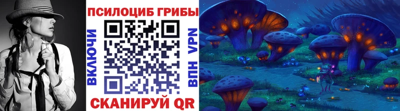 дарнет шоп  Пионерский  Галлюциногенные грибы GOLDEN TEACHER 