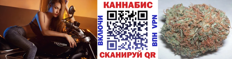 МАРИХУАНА сатива  Пионерский 
